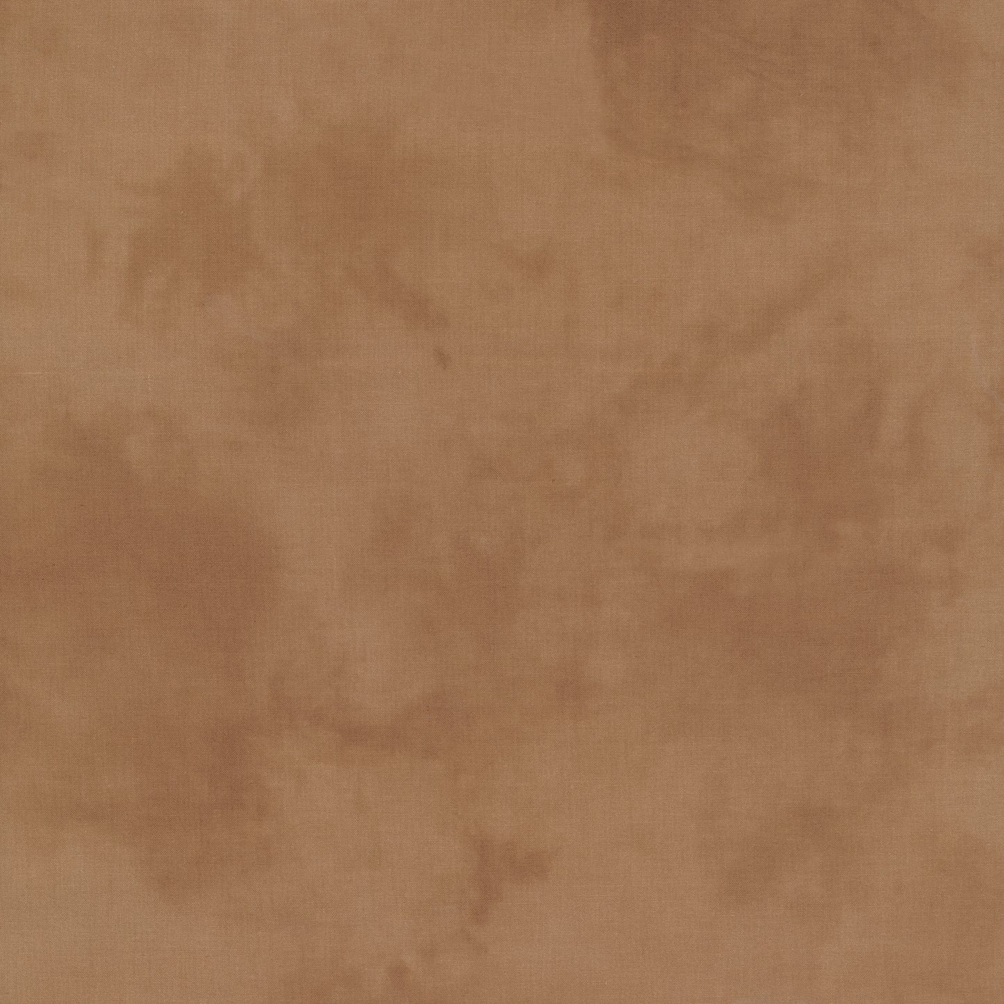 Palette* Mushroom