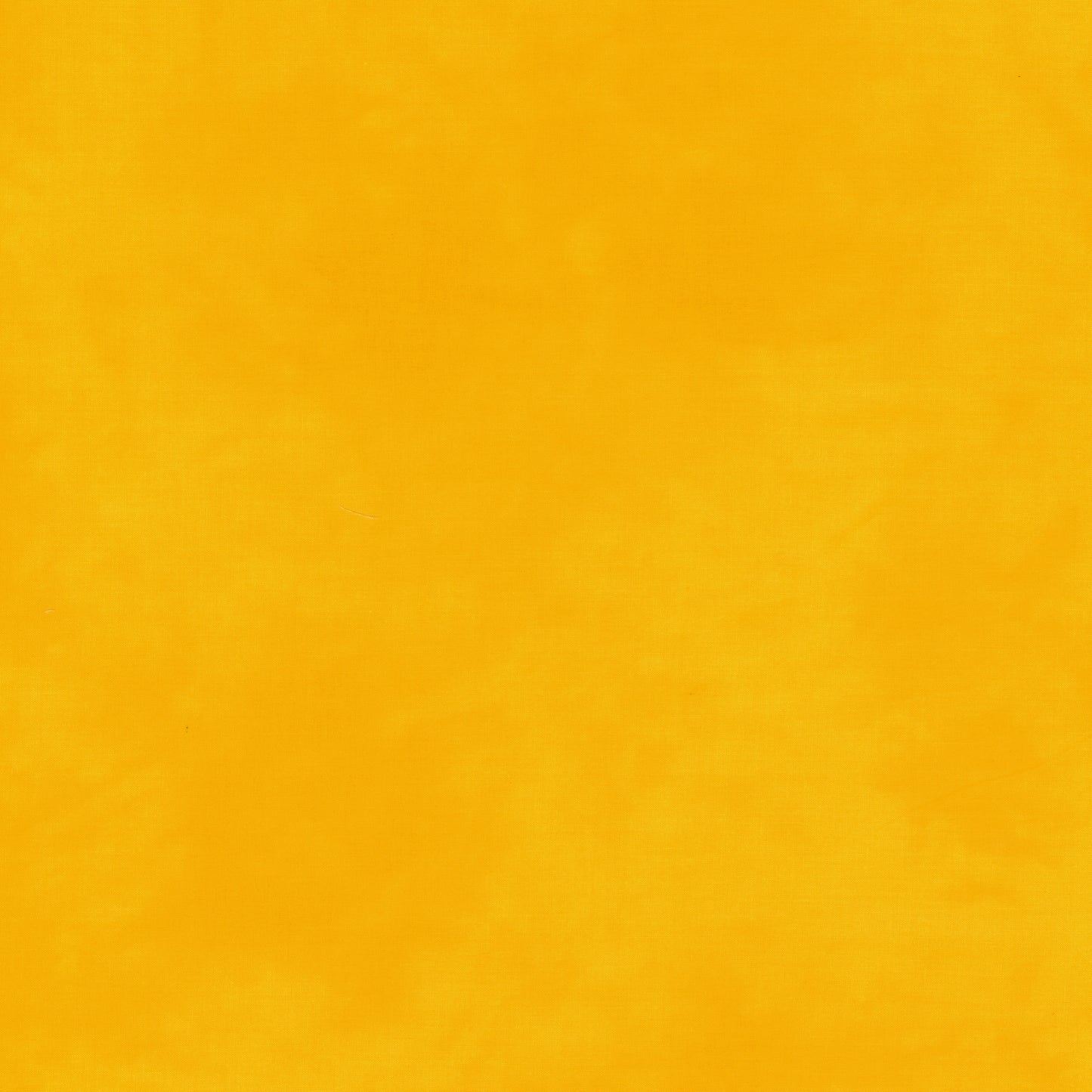 Palette* Daffodil