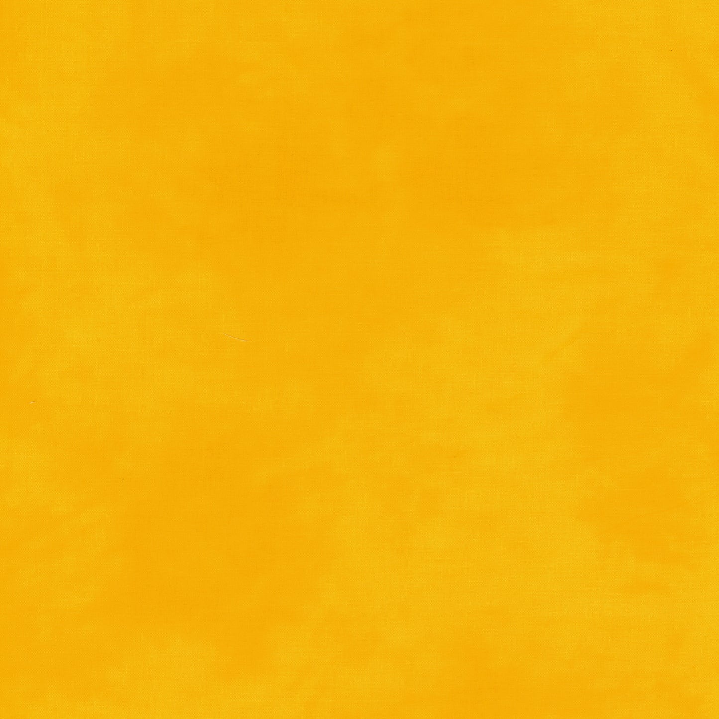 Palette* Daffodil