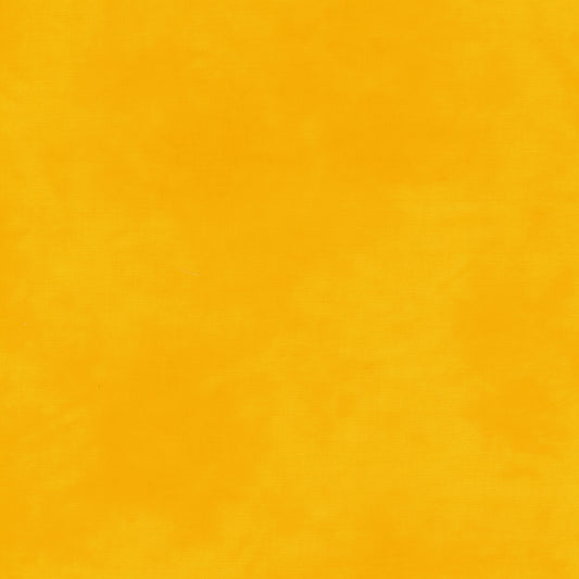 Palette* Daffodil