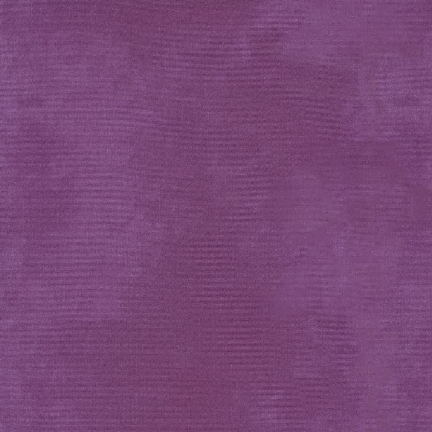 Palette* Violet