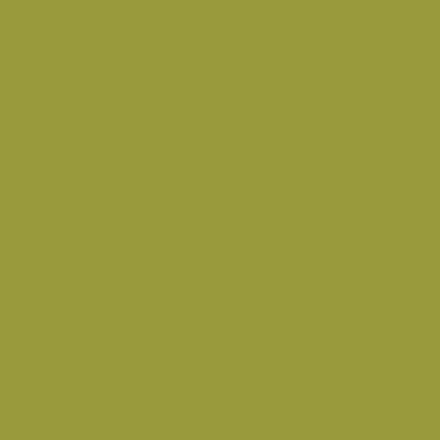 Confetti Cottons Moss