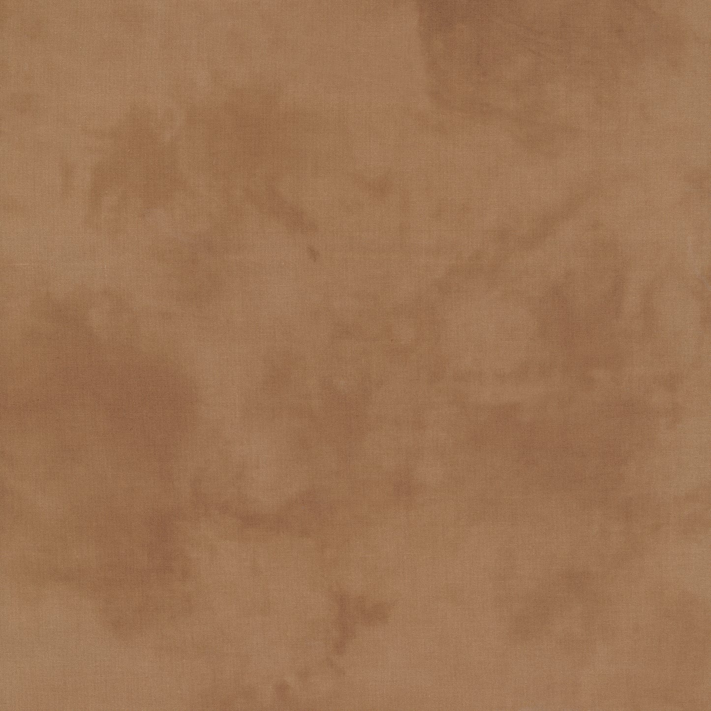 Palette* Mushroom