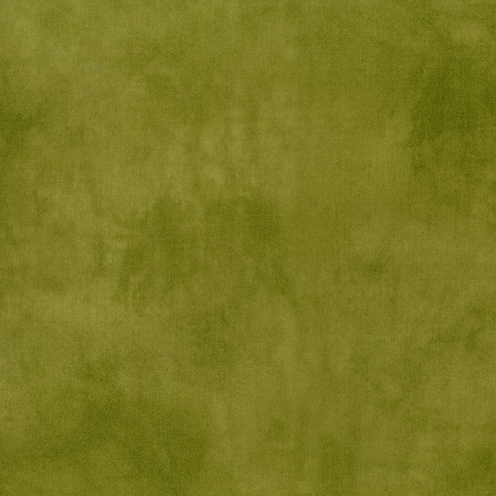 Palette* Olive