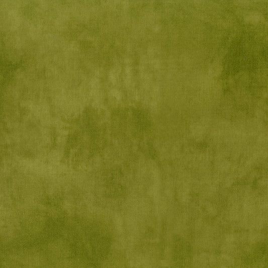 Palette* Olive