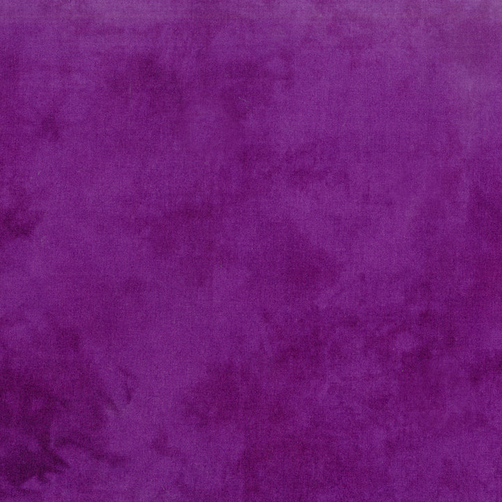 Palette* Concord