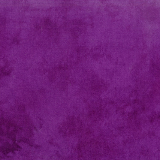 Palette* Concord