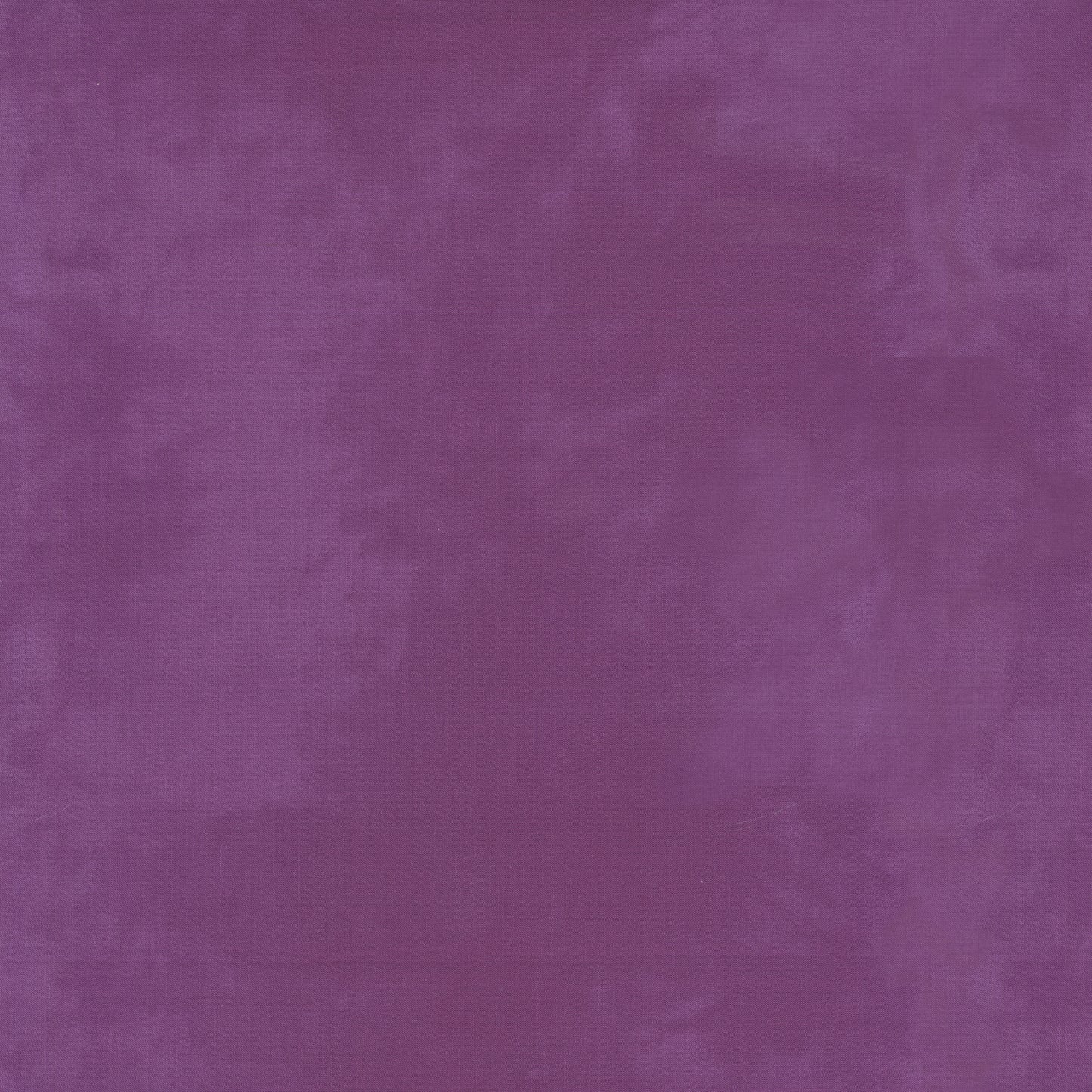 Palette* Violet